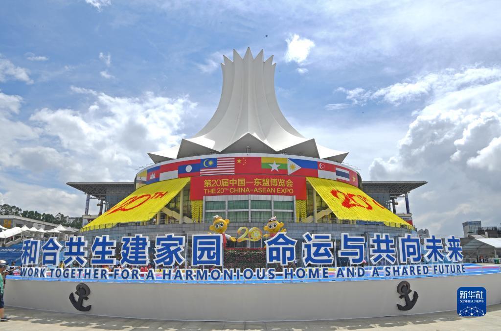 12849彩霸王
